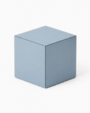BLOCK IN BLUE